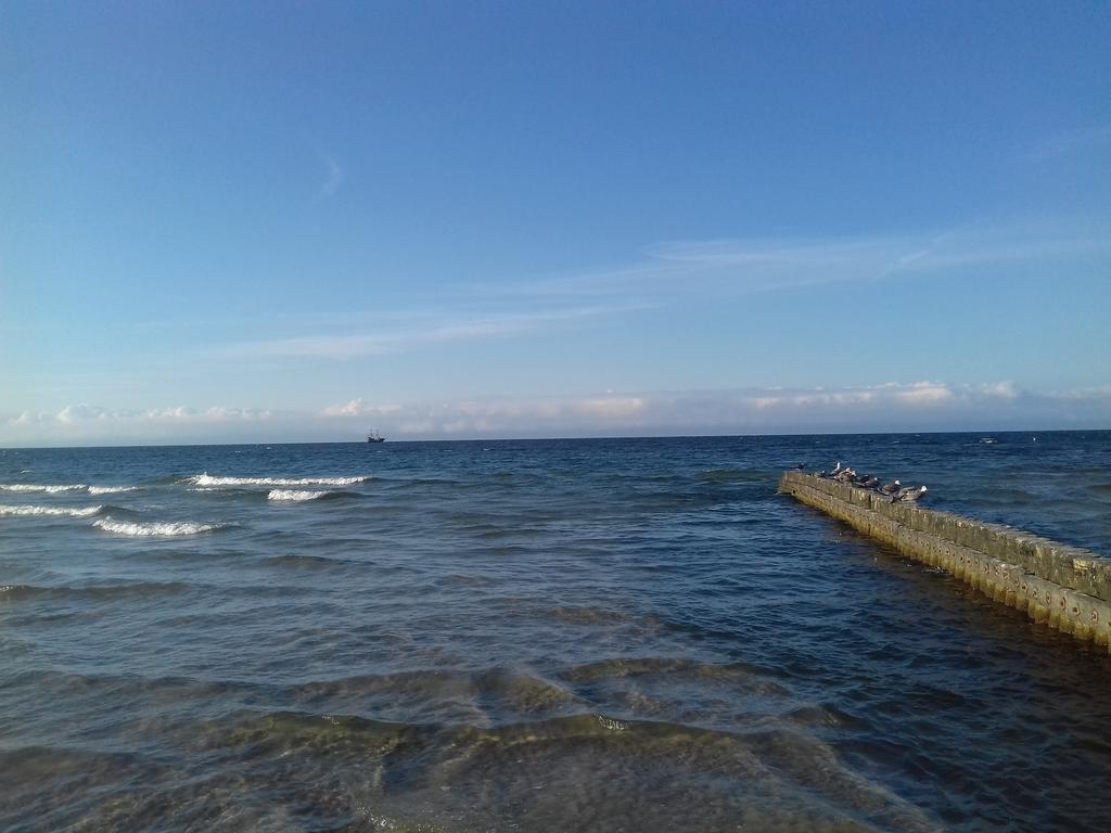 Dolphin House Bed & Breakfast Leba Luaran gambar