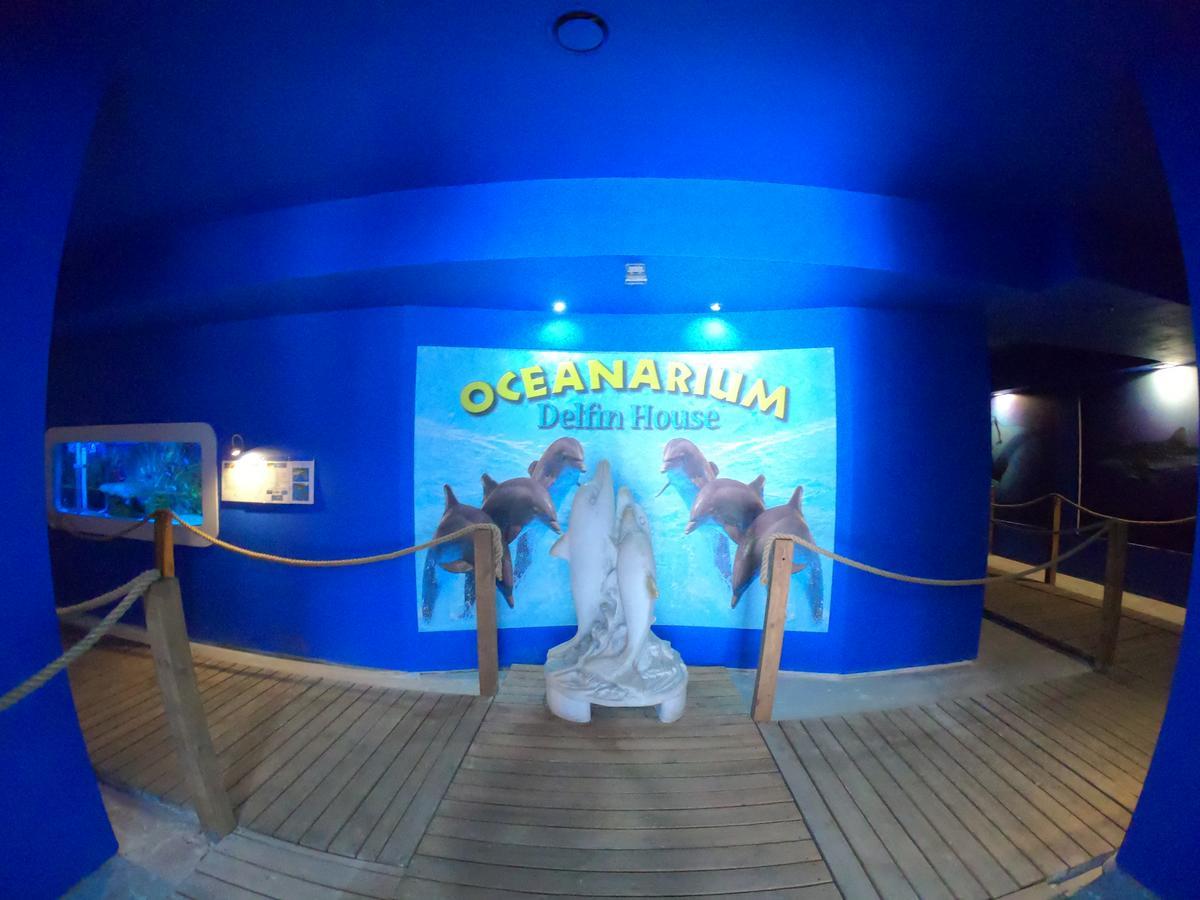 Dolphin House Bed & Breakfast Leba Luaran gambar